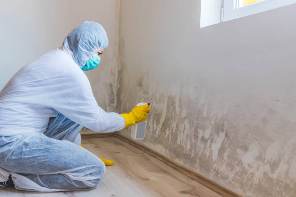 Mold inspector in Fort Monmouth performing thermal imaging