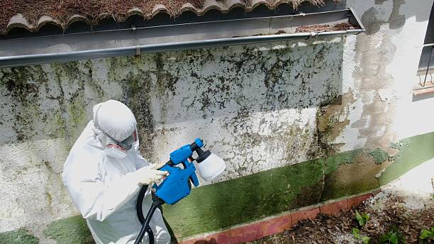 Mold Remediation service in Fort Monmouth, Fort Monmouth, NJ